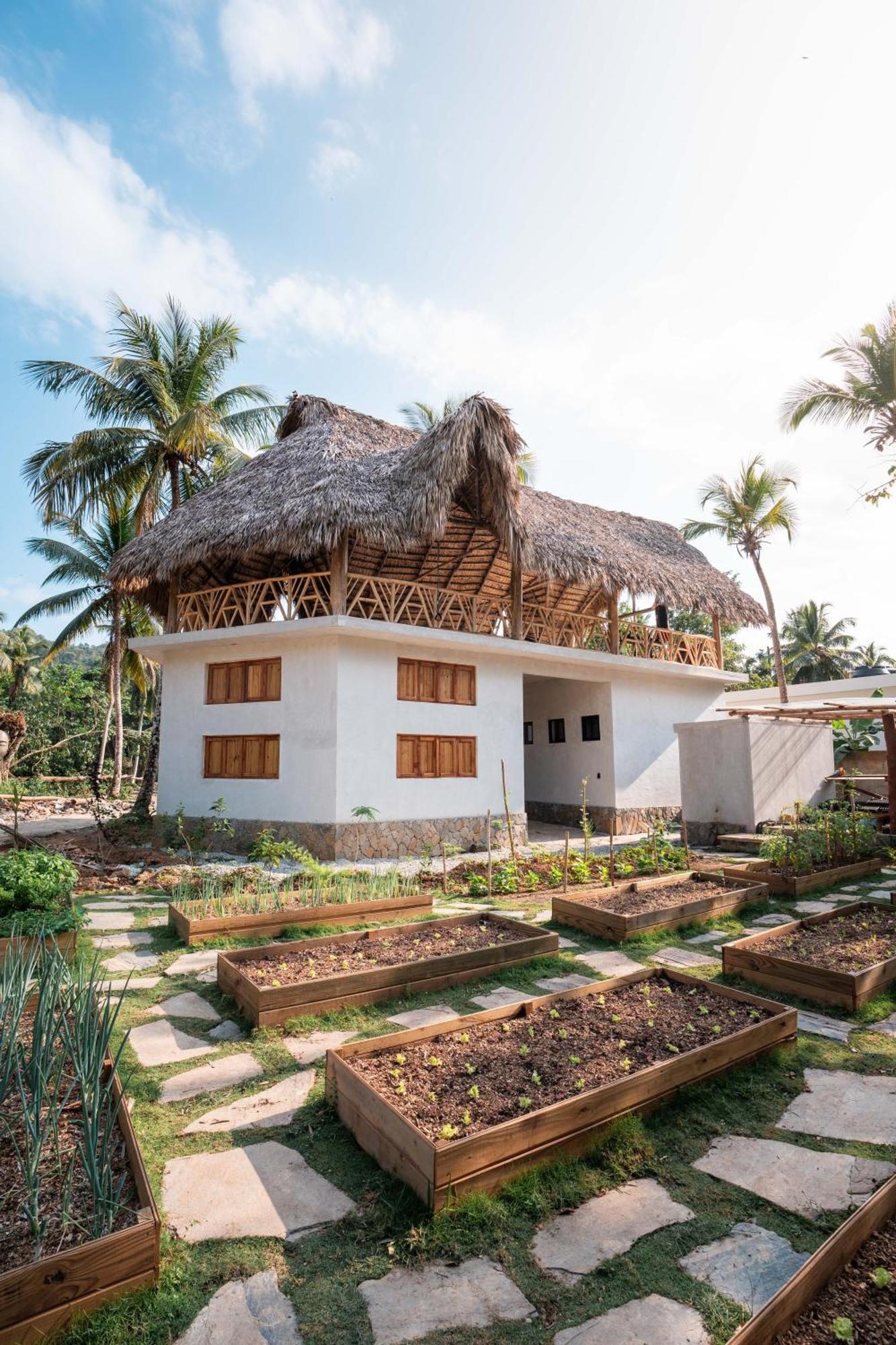 Leisy'S Garden Hostel & Rooms Samana エクステリア 写真
