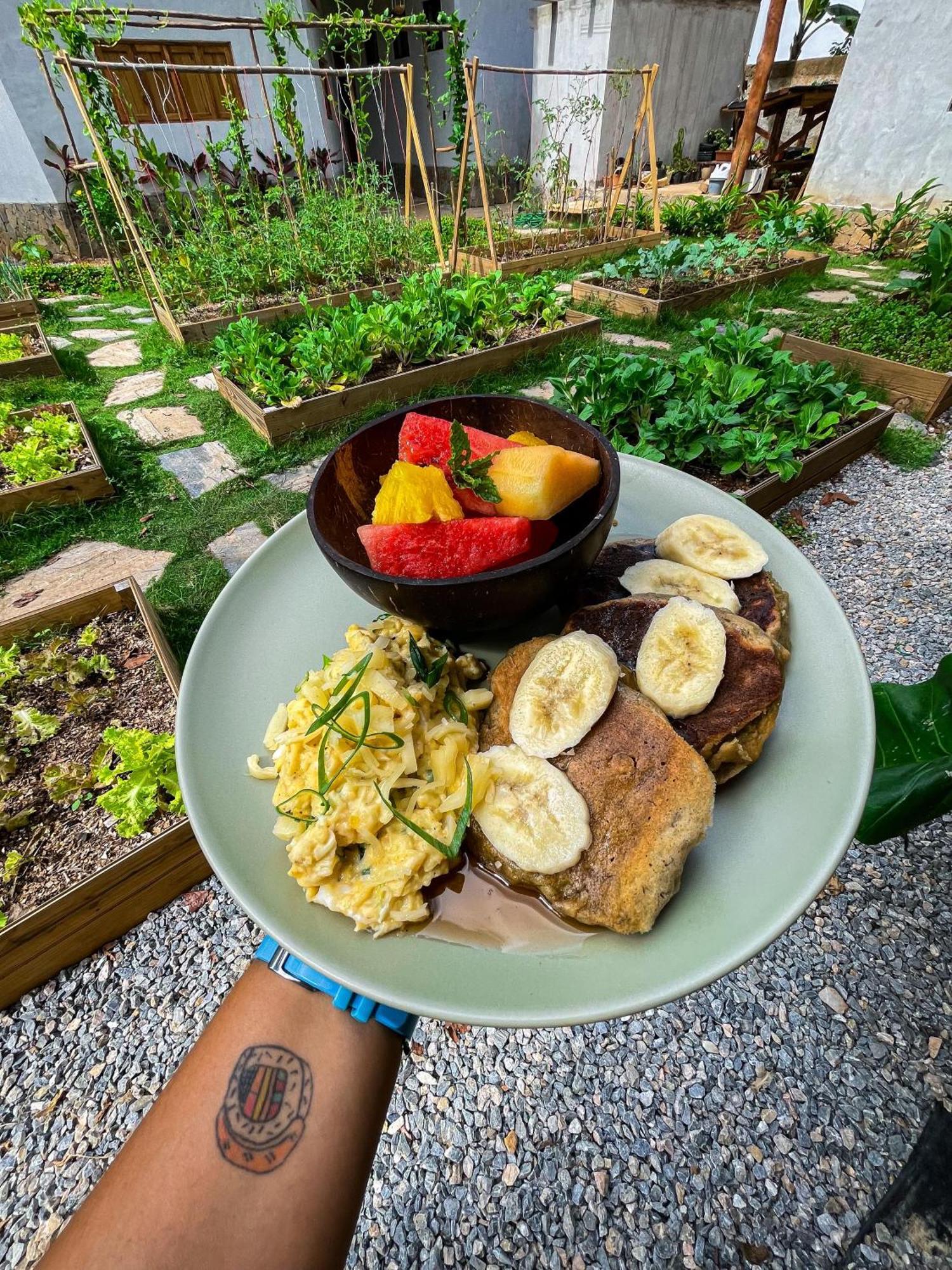 Leisy'S Garden Hostel & Rooms Samana エクステリア 写真