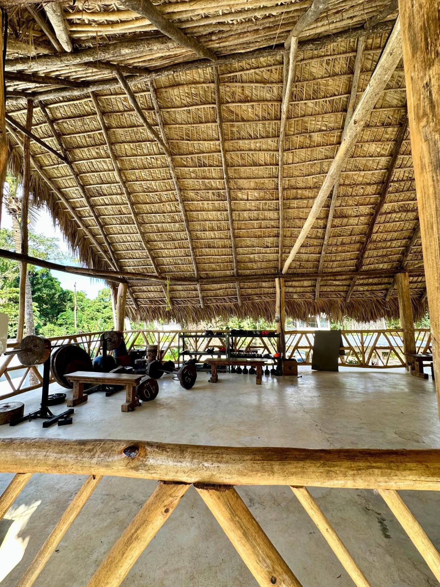 Leisy'S Garden Hostel & Rooms Samana エクステリア 写真