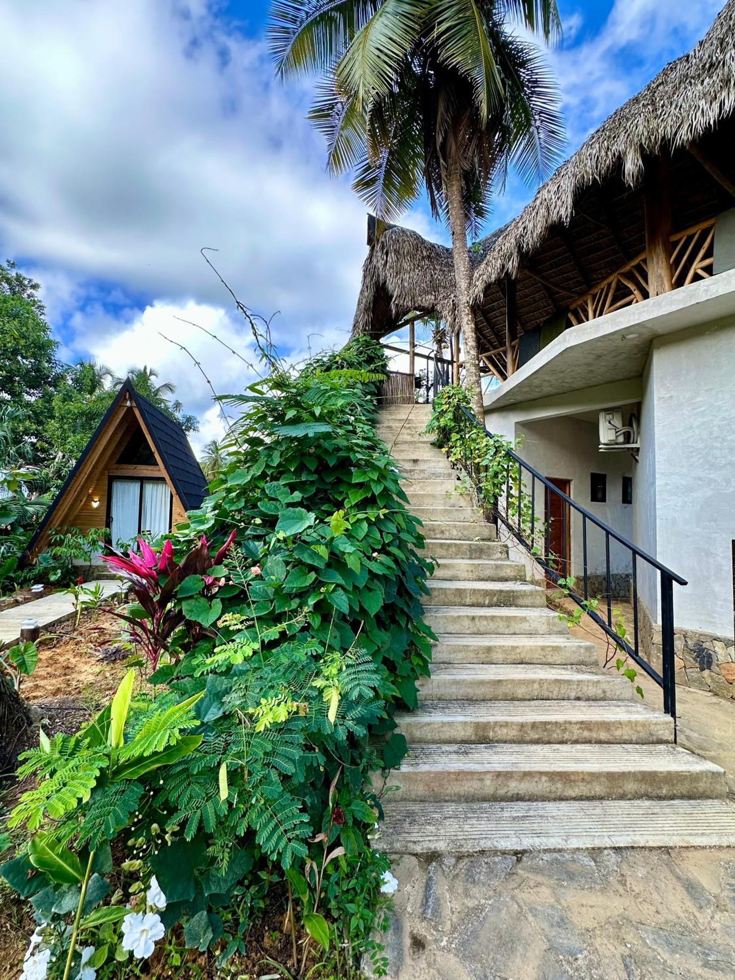 Leisy'S Garden Hostel & Rooms Samana エクステリア 写真